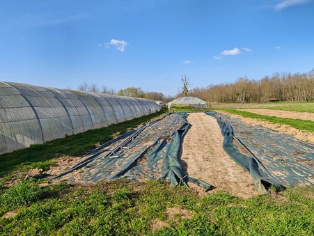 Vente maison 245 000 &euro;  Ouroux sur Saone