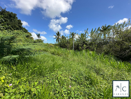 Terrain sur Ducos ; 202 000 &euro;  ; A vendre Réf. CAR240