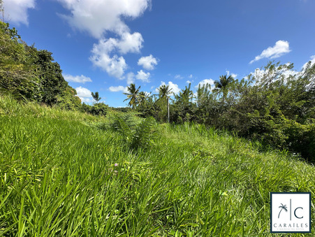 Terrain sur Ducos ; 202 000 &euro;  ; Vente Réf. CAR240