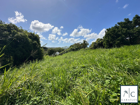 Achat terrain Ducos Réf. CAR240