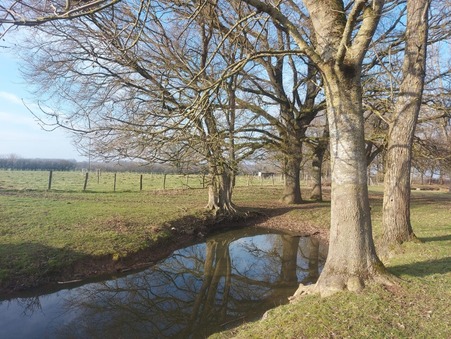 Maison 312 000 &euro; Réf. 4955 St Vincent en Bresse