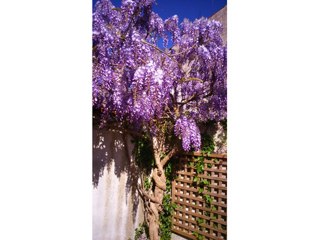 A vendre maison Bourcefranc-le-Chapus 17560; 304 471 &euro;