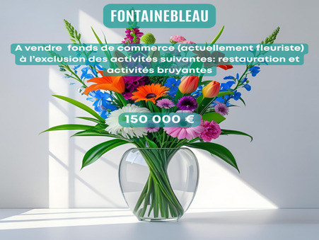 A vendre local commercial Fontainebleau 77300; 275 000 &euro; 