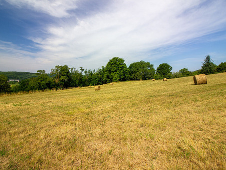 Vente terrain 55 000 &euro;  Castels et Bezenac