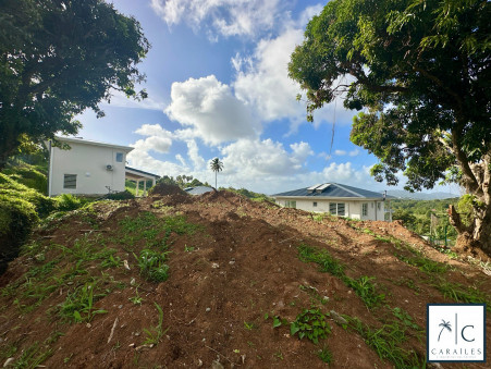 A vendre maison Riviere Salee 97215; 495 000 &euro; 