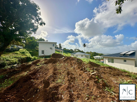 A vendre maison Riviere Salee 97215; 495 000 &euro; 