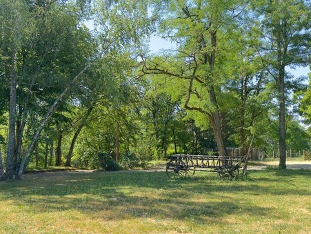 A vendre maison Montigny sur Loing 77690; 750 000 &euro; 