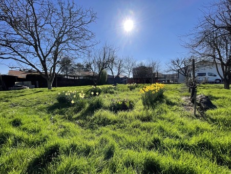 Achat terrain Bégrolles-en-Mauges Réf. terr 761-86800366