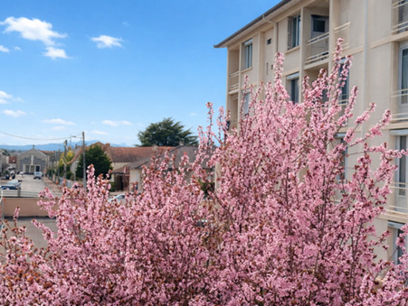 Appartement 75 000 &euro;  Réf. 8_6430 Riorges