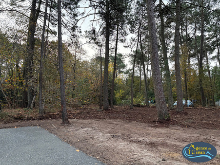 Vente terrain 40 000 &euro; Ferel