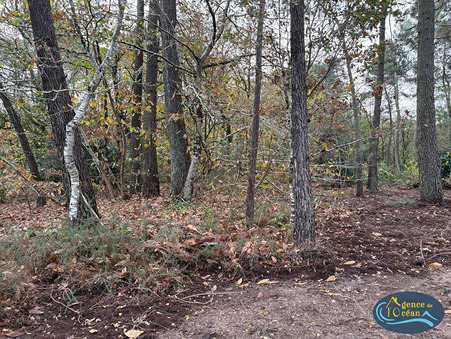 Achat terrain Ferel Réf. TL4521-13