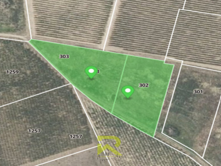 A vendre terrain Raissac-d'Aude 11200; 14 500 &euro; 