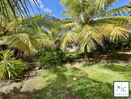 Maison 390 000 &euro;  Réf. CAR244 Sainte Anne