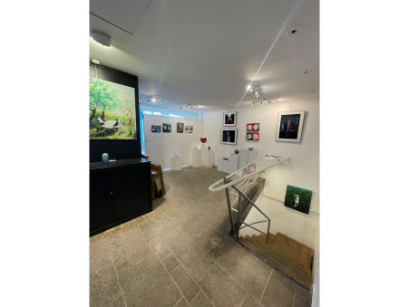 Location local commercial Paris 3eme Arrondissement Réf. 0454