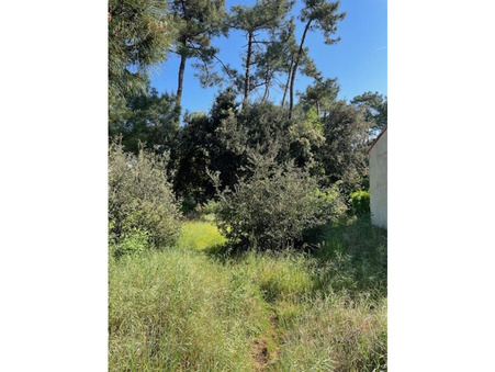 Terrain 219 440 &euro;  Réf. 3769 Le Grand-Village-Plage