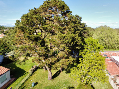 Achat maison Le Grand-Village-Plage Réf. 3773