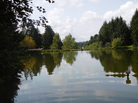 Vente maison 315 000 € Saint-Yrieix-la-Perche