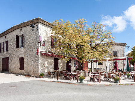 MONTAIGU DE QUERCY  435 000€