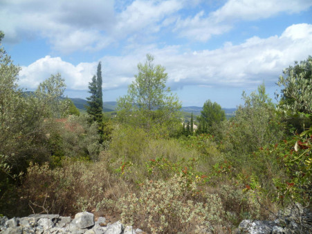 A vendre terrain Cuers 83390; 77 000 € 