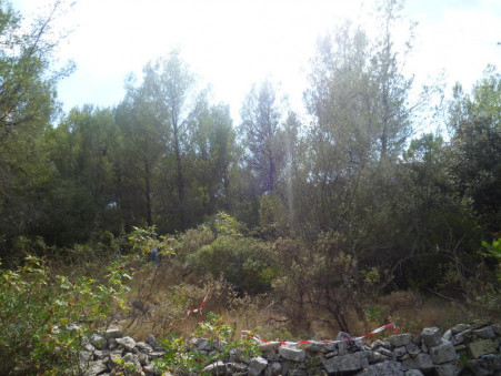 A vendre terrain Cuers 83390; 77 000 € 