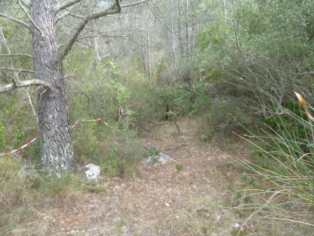 Vente terrain 77 000 €  Cuers