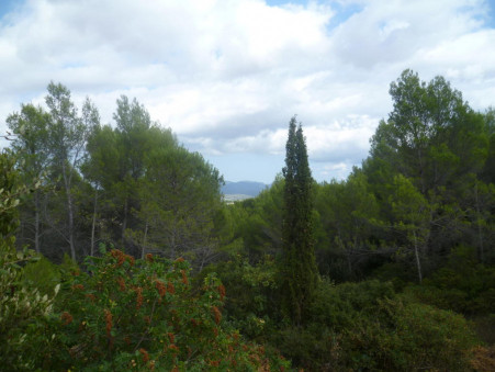 Vente terrain 77 000 €  Cuers