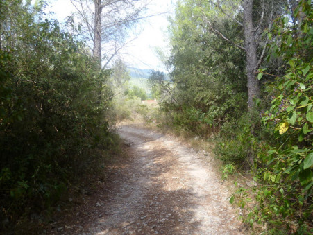 Achat terrain Cuers Réf. 87