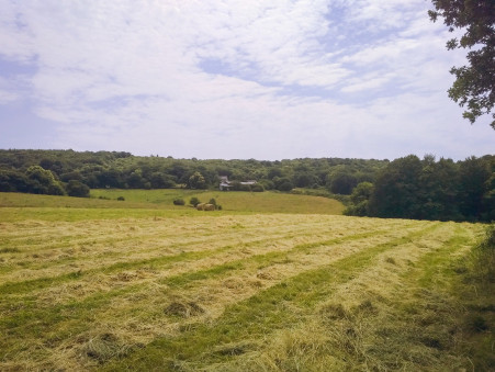 Propriété sur Gourin ; 445 200 € ; Achat Réf. 25