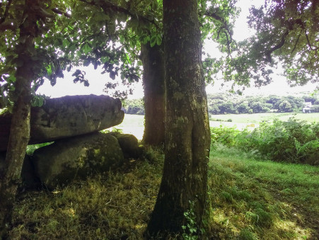 Vente propriété 445 200 € Gourin