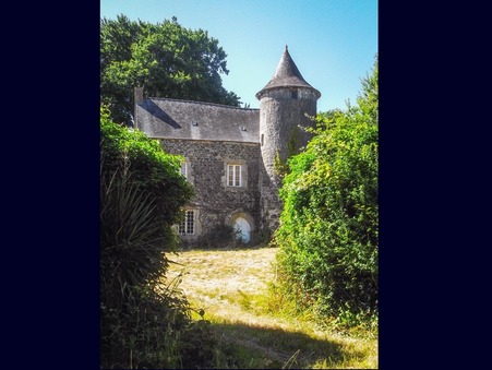 Chateau 495 225 € Réf. 91-92-94 Pontrieux