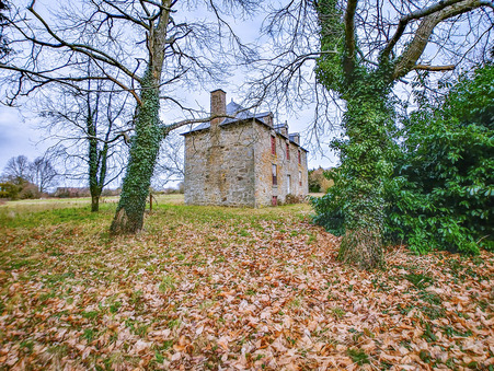 Vente chateau 195 000 € Alencon