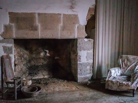 Chateau 50 000 € sur Limoges (87000) - Réf. 125