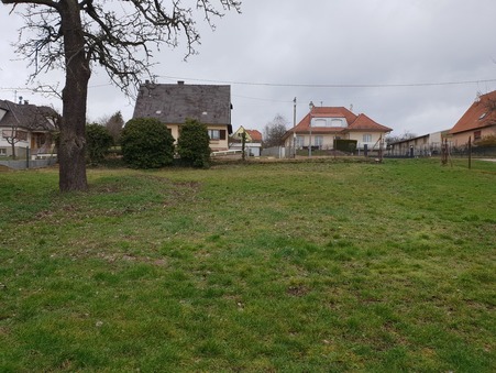 Achat maison Gunstett Réf. 11630