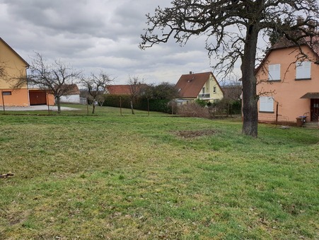 Vente maison prix nous consulter Gunstett