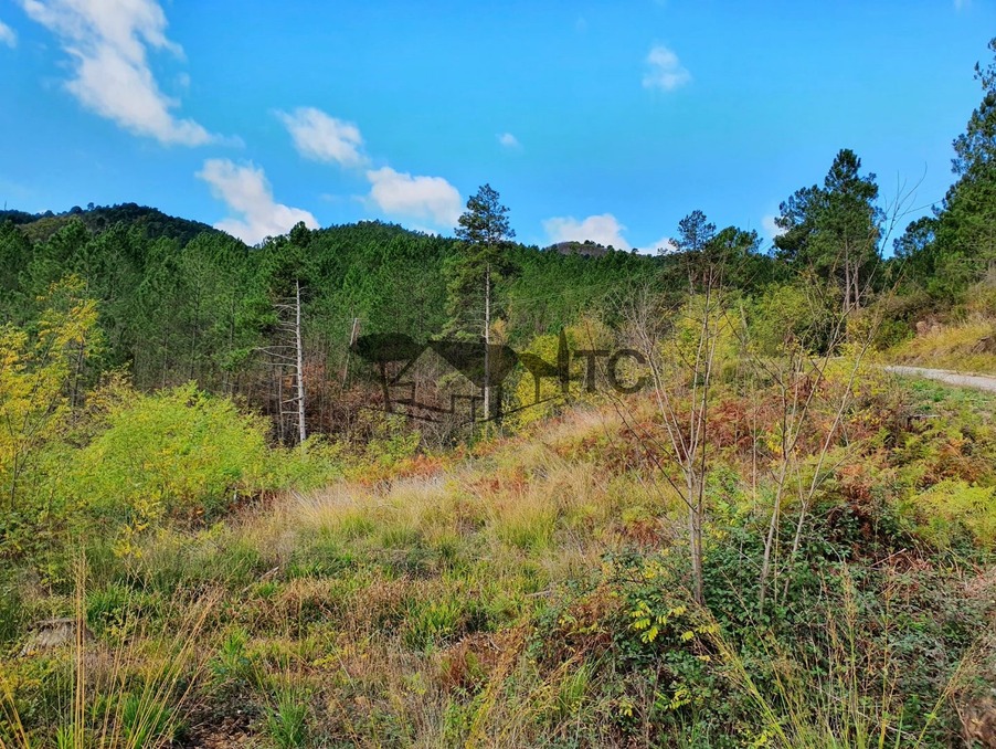 Vente maison 40 000 €  Robiac Rochessadoule