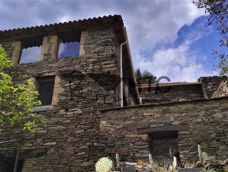 A vendre maison Malons et Elze 30450; 250 000 € 