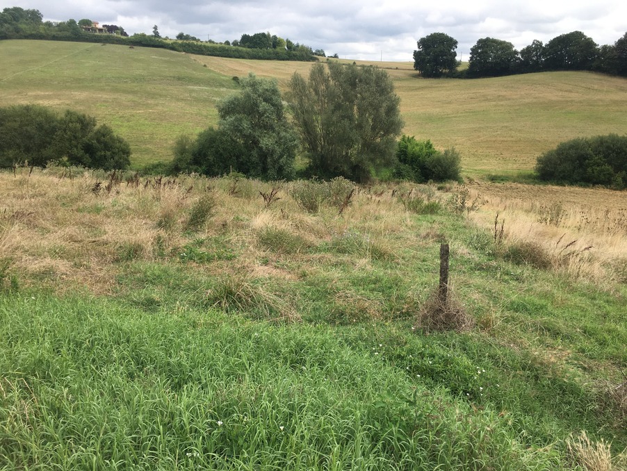 Terrain sur Peyrissas ; 26 000 € ; Achat Réf. 4003-ml