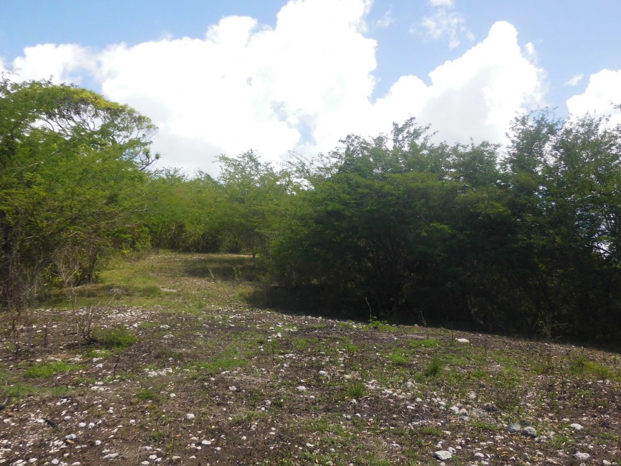 A vendre terrain Le Gosier 97190; 550 000 € 