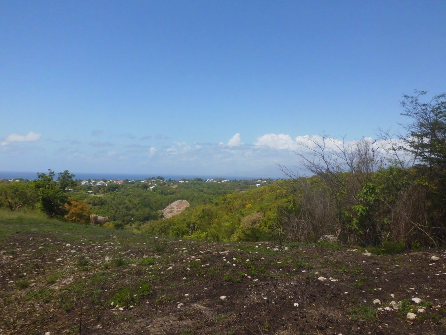 A vendre terrain Le Gosier 97190; 550 000 € 