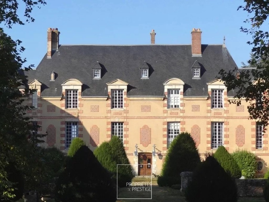 Castle € 2 625 000  Réf. 2019.01.03 Blaru