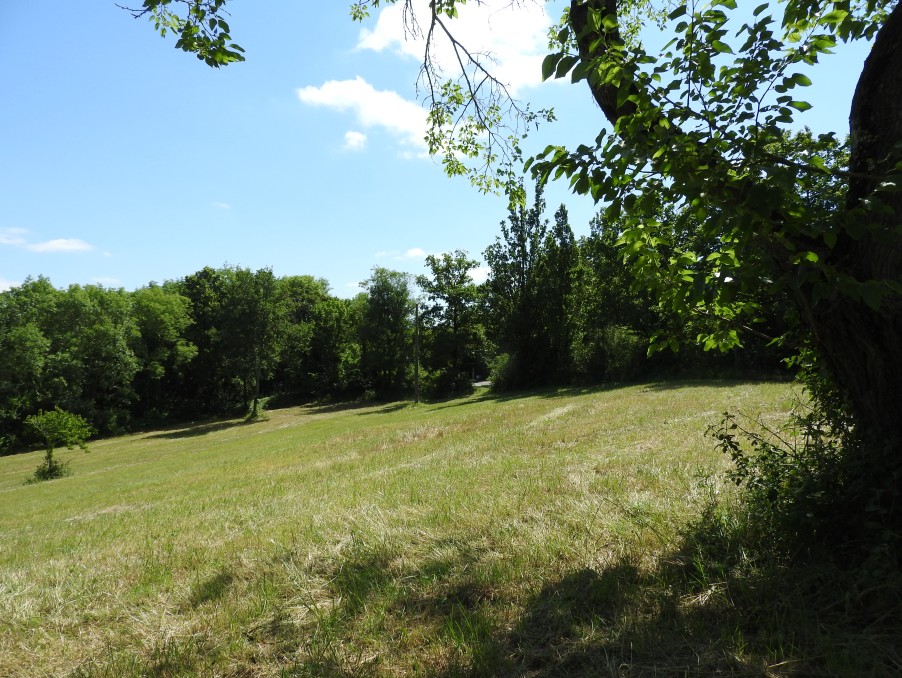 Vente terrain 40 000 € Aurignac