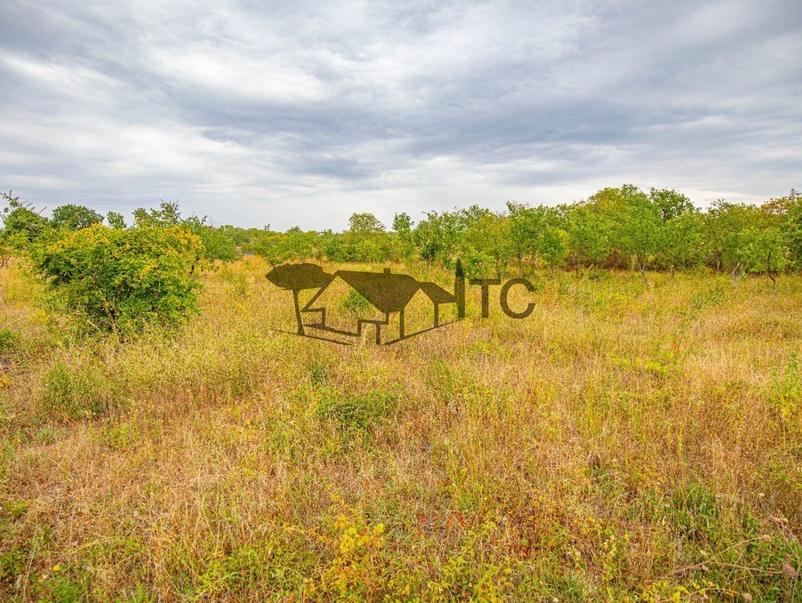 Terrain 79 000 €  Réf. 301373935-2009188 Berrias et Casteljau