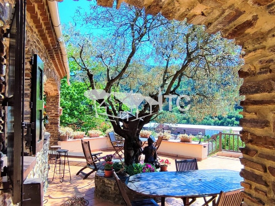 A vendre maison Besseges 30160; 255 000 € 