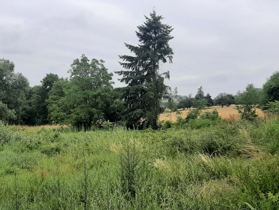 Vente terrain 415 000 €  Lentilly