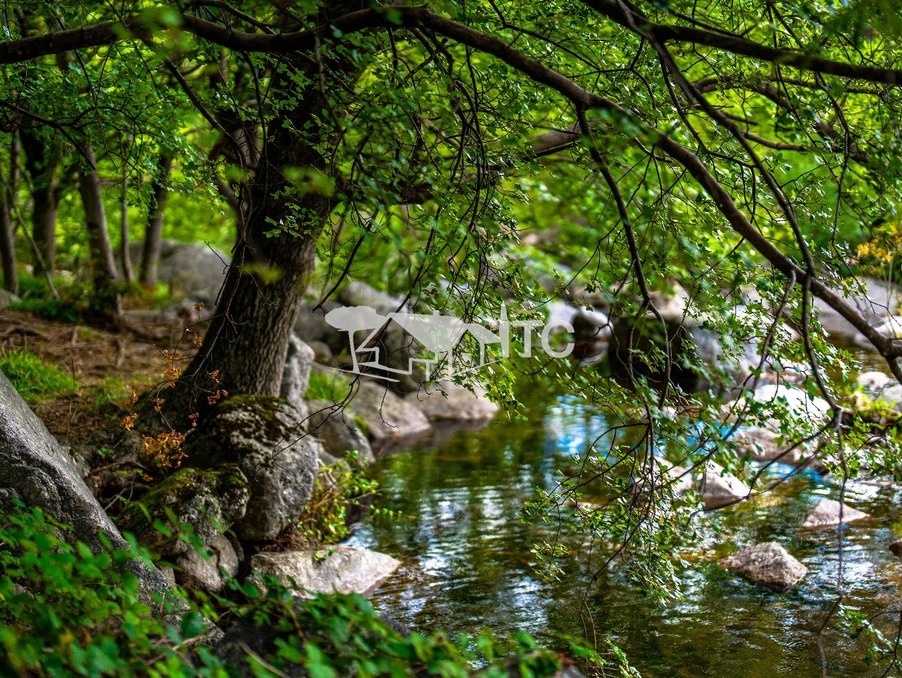 Vente maison 228 000 €  Malarce sur la Thines