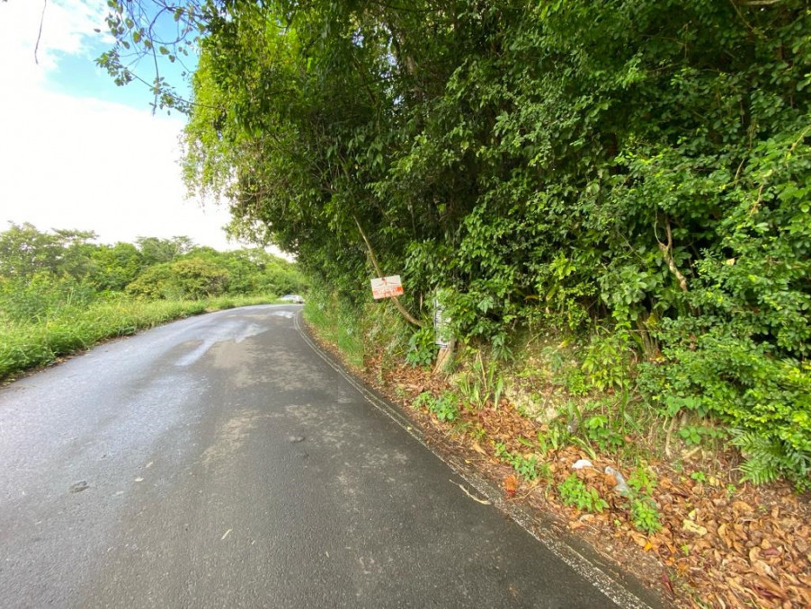 Achat terrain Le Gosier Réf. 673