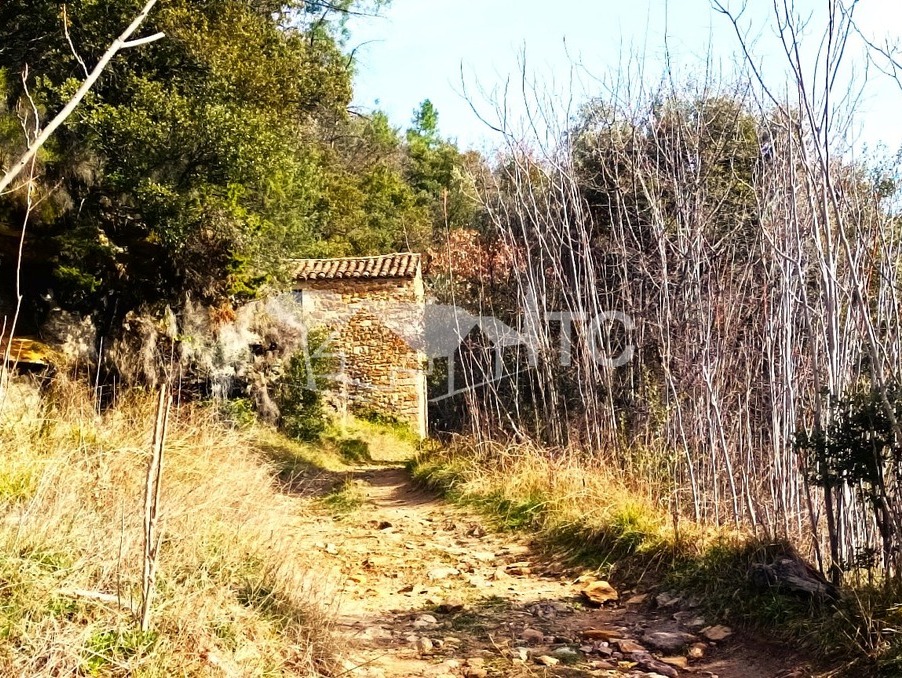 Vente maison 98 000 €  Payzac