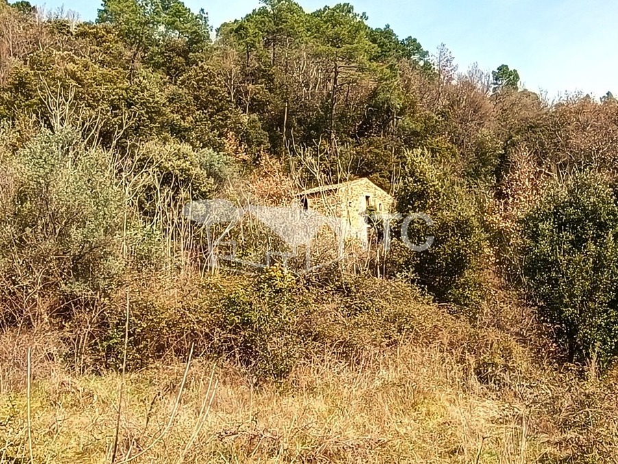 Achat maison Payzac Réf. 301375551-2402672