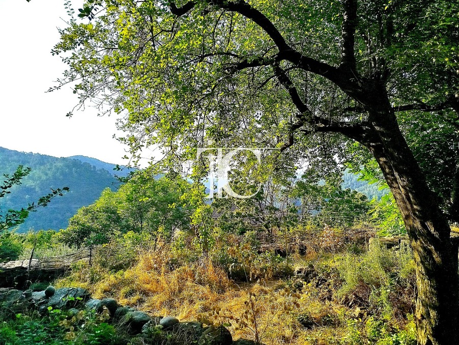 Autre sur Saint Pierre Saint Jean ; 192 000 €  ; Vente Réf. 301375839-2408799