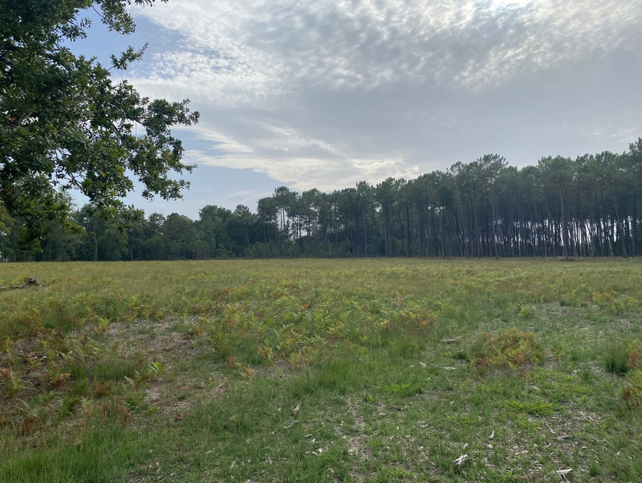 Vente terrain 190 000 €  Tosse